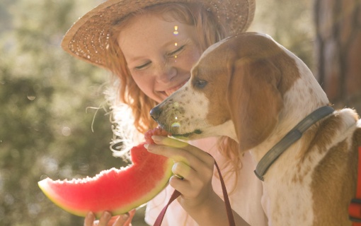 sideways-dog-woman-eating-slice-watermelon